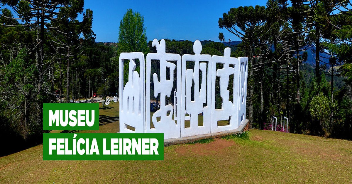 MUSEU FELÍCIA LEIRNER- VAGA ASSISTENTE DE PROGRAMAÇÃO